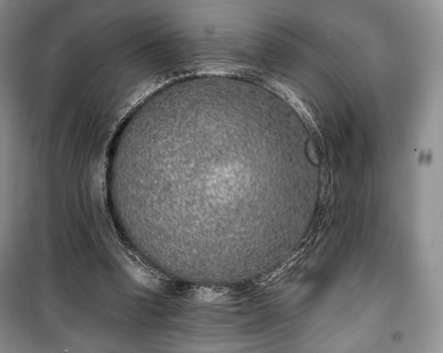 X0000100350346200806130957