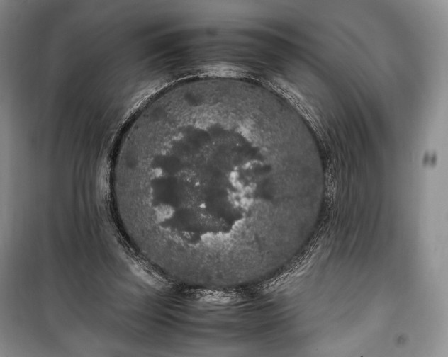 X0000100350347200806130957