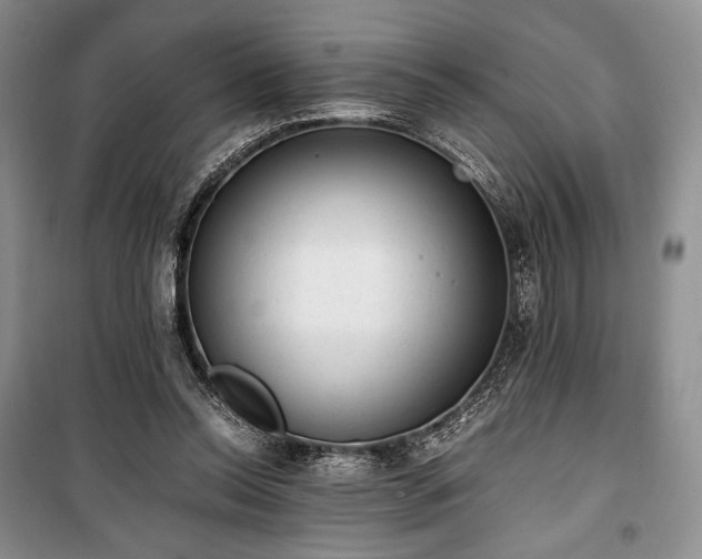 X0000100350350200806130957