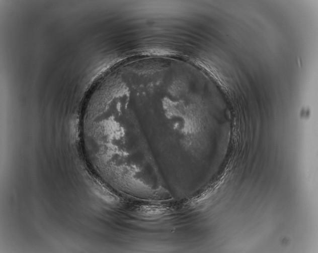 X0000100350351200806130957