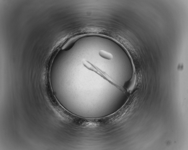X0000100350352200806130957