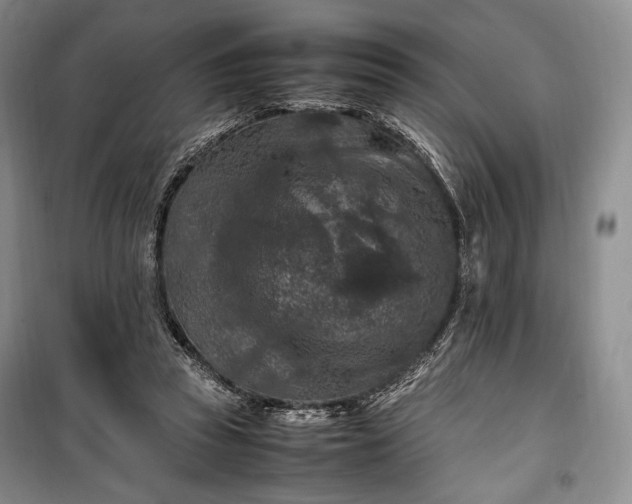 X0000100350353200806130957
