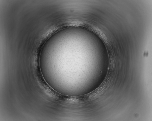 X0000100350354200806130957