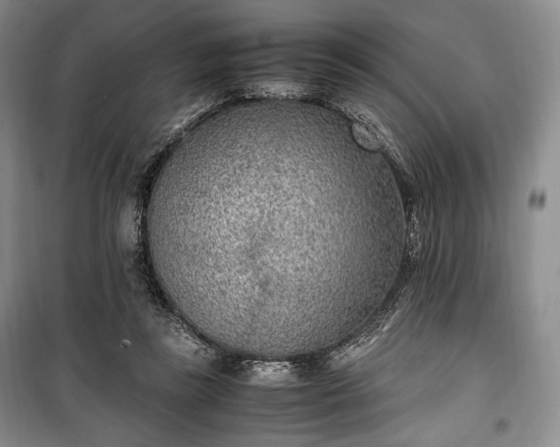 X0000100350355200806130957