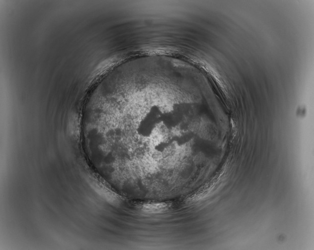X0000100350357200806130957