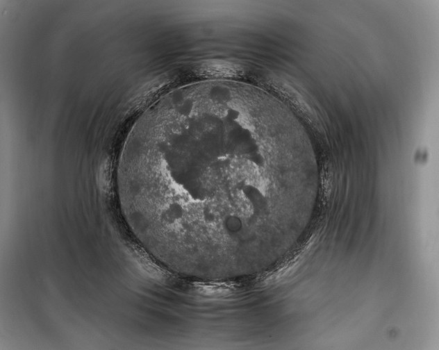 X0000100350359200806130957