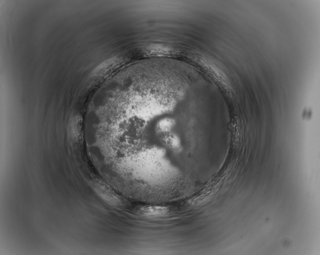 X0000100350361200806130957