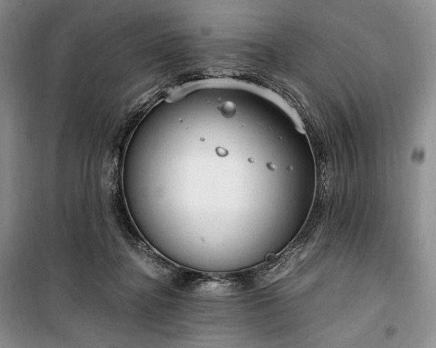 X0000100350364200806130957