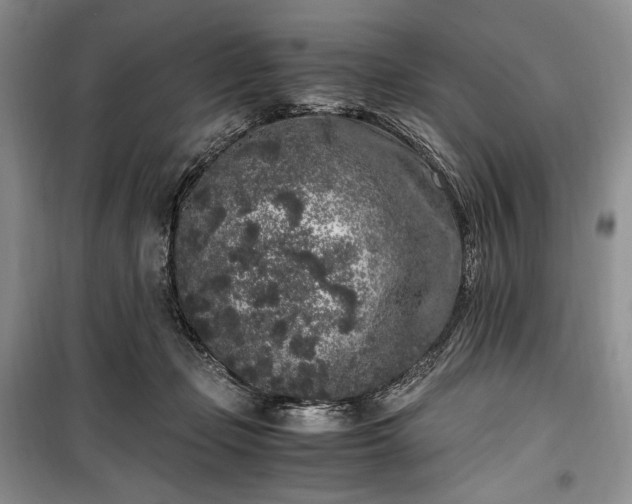X0000100350365200806130957