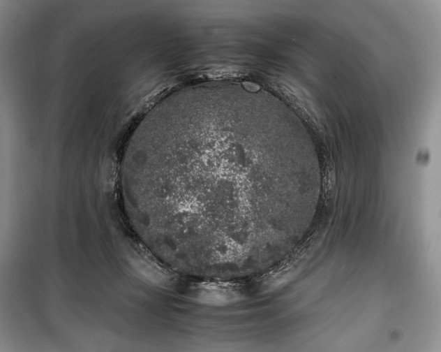 X0000100350367200806130957