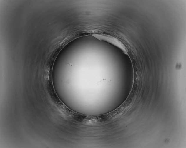 X0000100350368200806130957