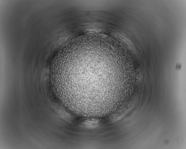 X0000100350369200806130957