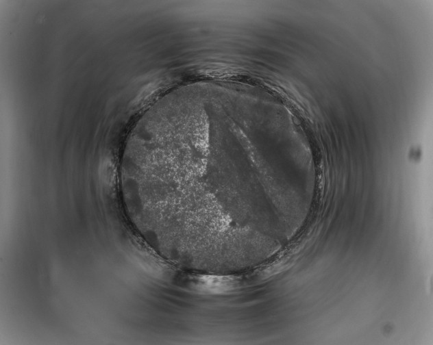 X0000100350371200806130957
