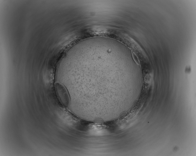 X0000100350372200806130958