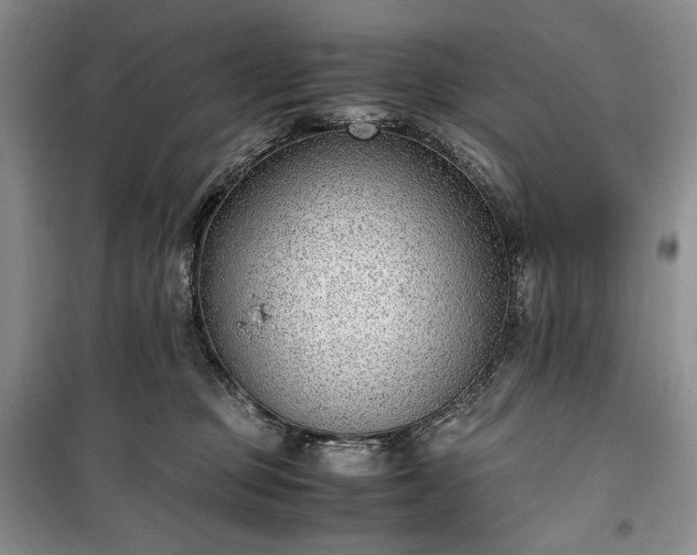 X0000100350373200806130958