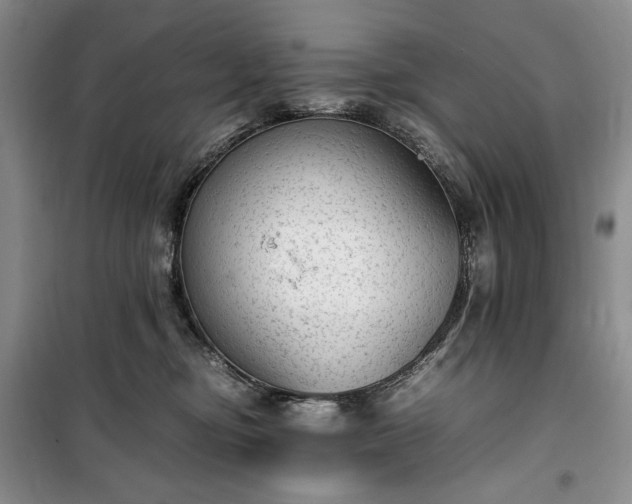 X0000100350374200806130958