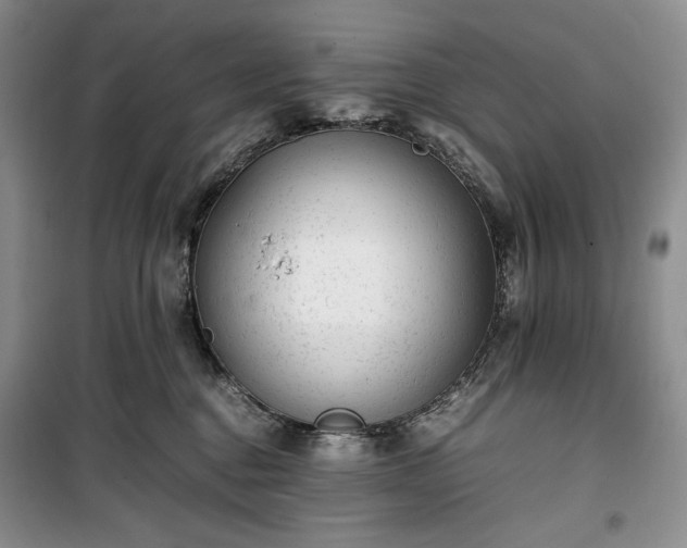 X0000100350376200806130958