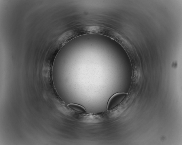 X0000100350379200806130958
