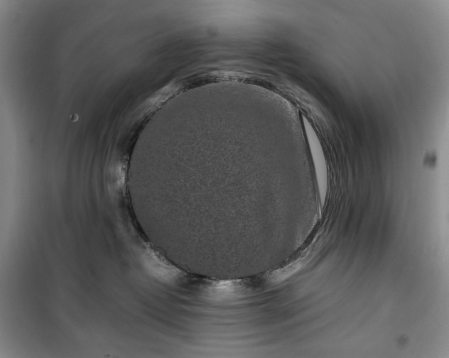 X0000100350382200806130958