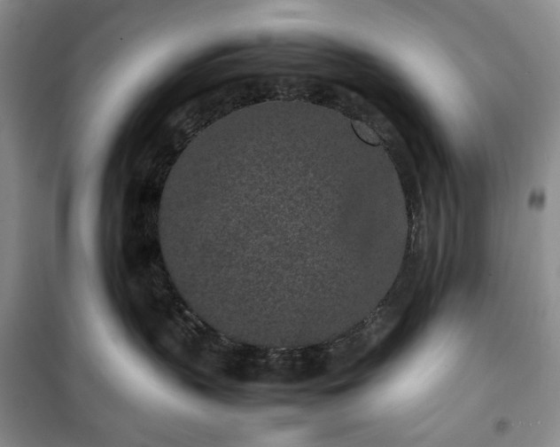 X0000100350383200806130958