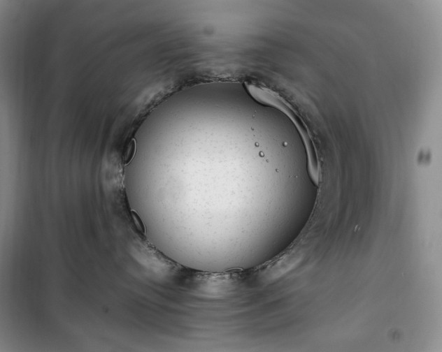 X0000100350384200806130958