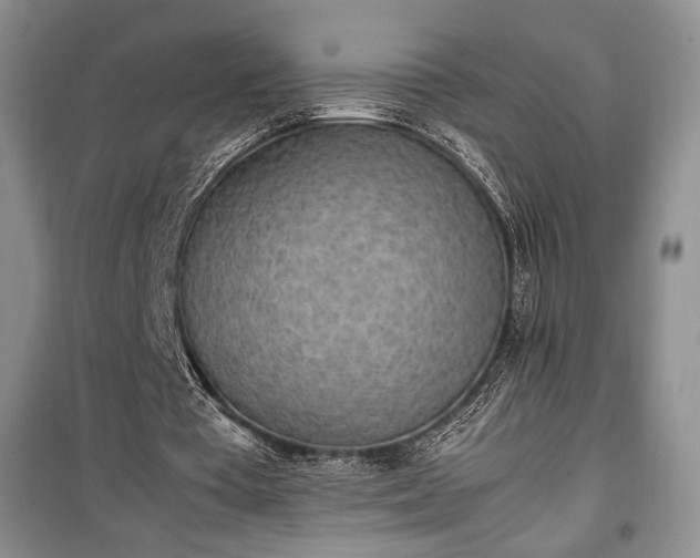 X0000100350385200806130957