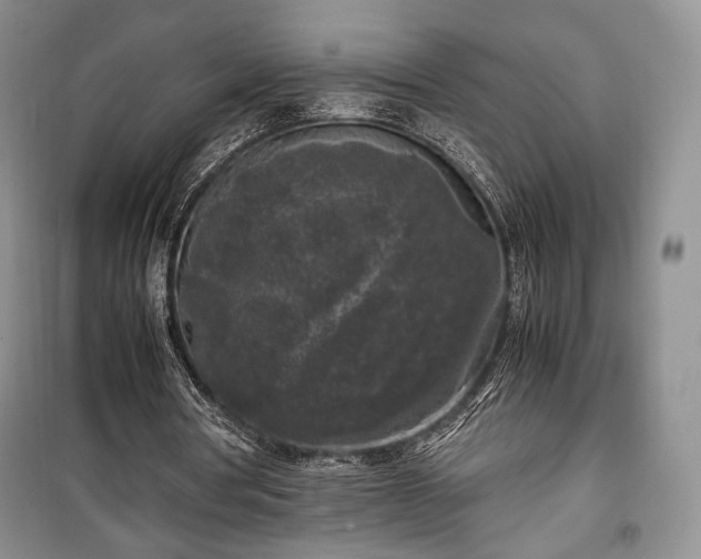 X0000100350386200806130957