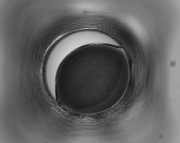 X0000100350387200806130957