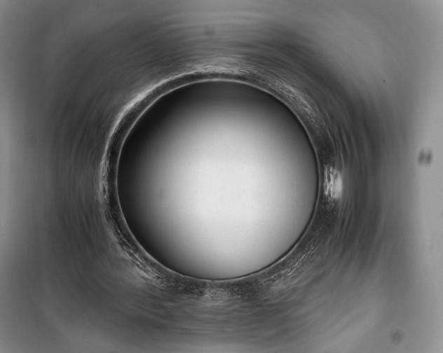X0000100350388200806130957