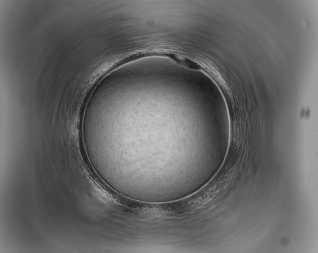 X0000100350389200806130957