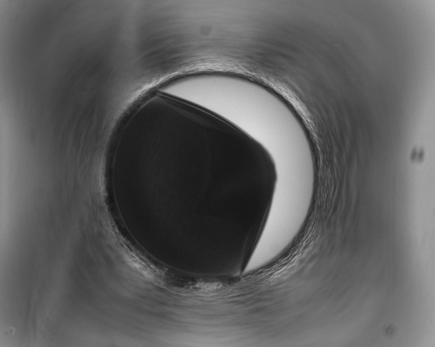 X0000100350391200806130957