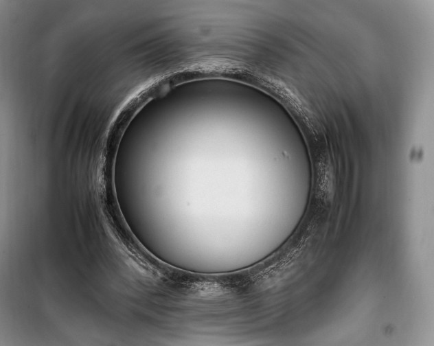 X0000100350392200806130957