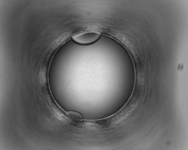 X0000100350393200806130957