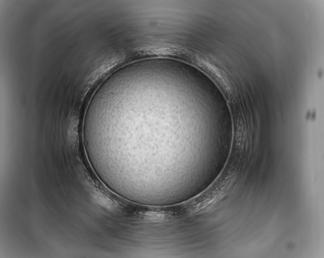 X0000100350394200806130957