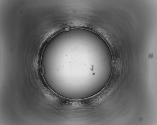 X0000100350395200806130957