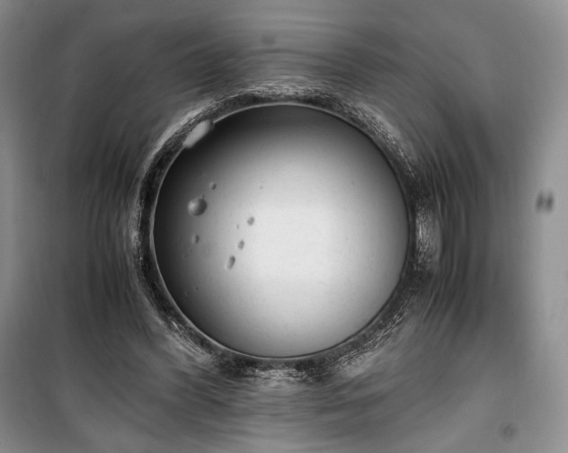 X0000100350396200806130957