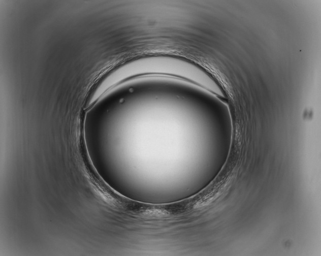 X0000100350397200806130957