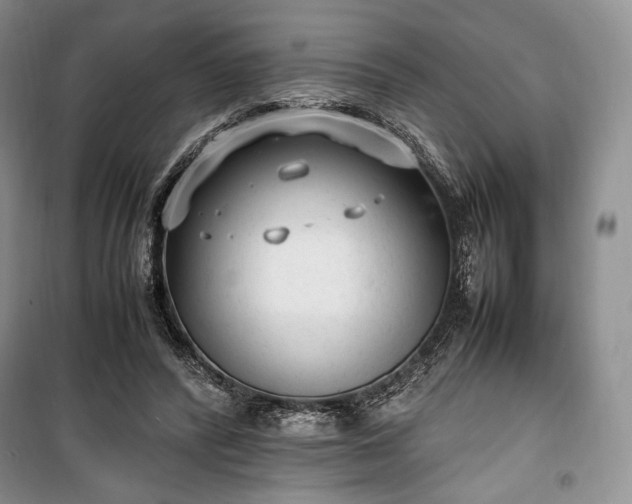 X0000100350400200806130957