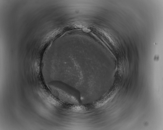 X0000100350402200806130957