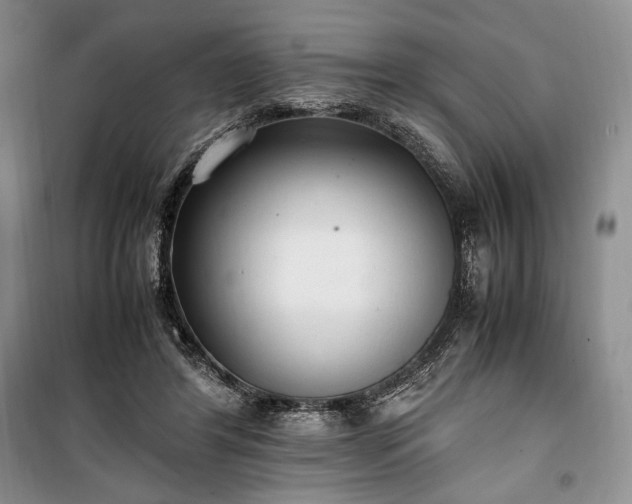 X0000100350404200806130957