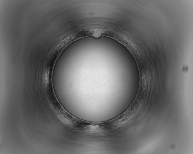 X0000100350406200806130957