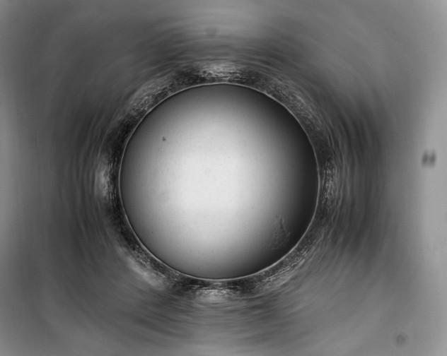 X0000100350408200806130957