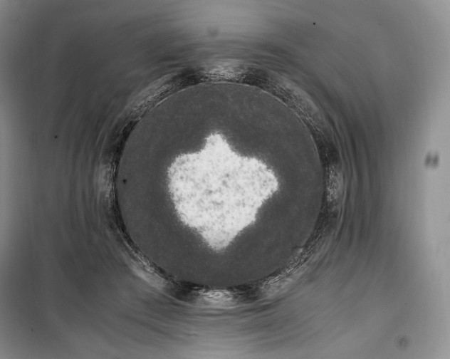 X0000100350409200806130957