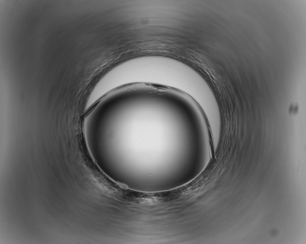 X0000100350411200806130956
