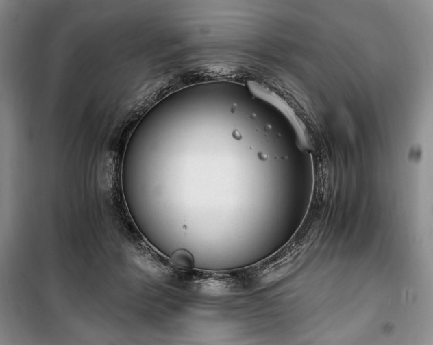 X0000100350412200806130956
