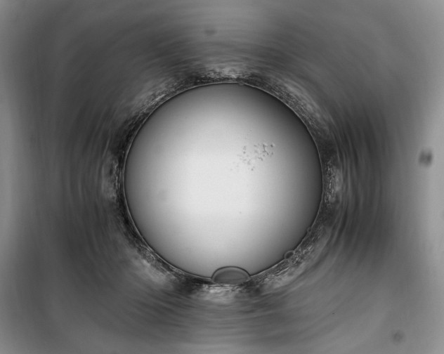 X0000100350414200806130956