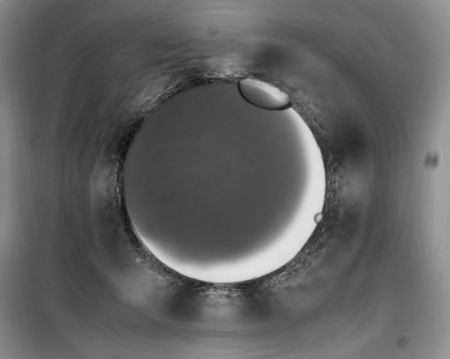 X0000100350415200806130956