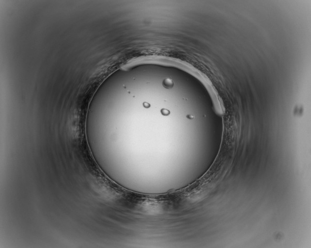 X0000100350416200806130956