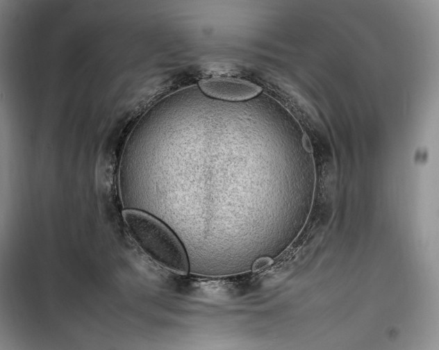 X0000100350417200806130956
