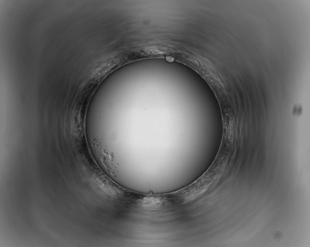 X0000100350418200806130956